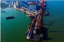广州港粮食通用码头一季度装卸货物同比增长12.23%