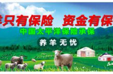 深入了解互联网牧场的运营模式，“天祥养殖场”值得信赖！