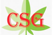 应对“新冠肺炎”疫情，CS健康产业集团在行动！