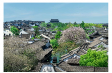 影视IP赋能旅游：《月鳞绮纪》取景地濮院 邀你沉浸式入画江南