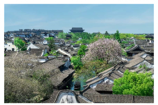 三十年战略合作展新篇！湘潭铺子与海南省槟榔协会共建核心产区，夯实“南槟北杞”布局